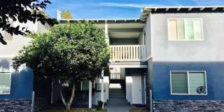 24381 Chestnut Street Gallery 1