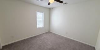 907 Rugby Street Gallery 11