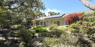 810 Martin Street Gallery 2
