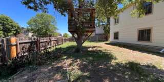 Fantastic Home in Central Fort Collins Gallery 28