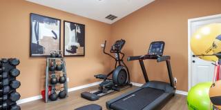 ReNew Brandon Gallery 17