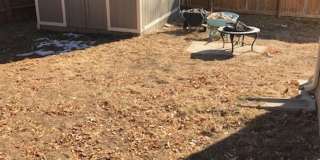 Lovely 2 Story with Finished Basement Gallery 21