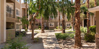 Amara Spring Valley Apartments Gallery 37