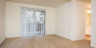 Elan View Pointe Gallery 16