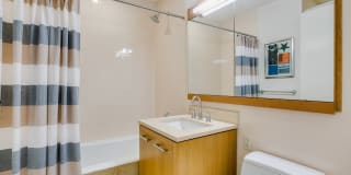 The Ashley Gallery 21