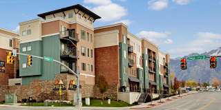 Hills at Sandy Station Gallery 19