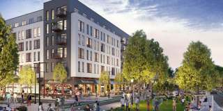 The Alder Gallery 29