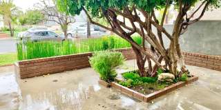 Five Bedroom Single Family Home in Irvine! Gallery 4