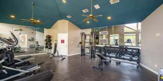Preserve Wells Branch Gallery 2