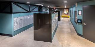 Three Collective Gallery 61