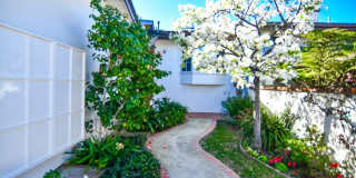 4 White Water Gallery 5