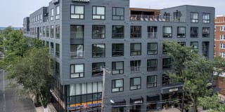 The Novella The Novella Gallery 1