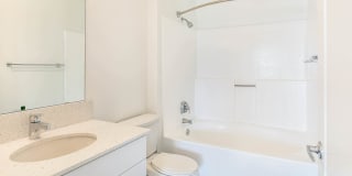 Academy Village Gallery 11