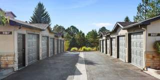 Summerfield Gallery 16