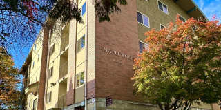 Maplewood Gallery 10