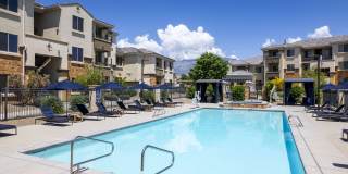 Olympus Alameda Gallery 36