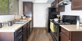 Shadowbrook Gallery 2