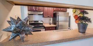 Forest Creek Gallery 3