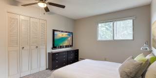 Caravelle Apartments Gallery 12
