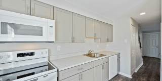 Village of Carrollwood Gallery 1