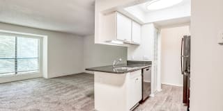 Northcliffe Forest Apartments Gallery 32