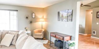 Cozy Gem,Dog-Friendly, Near Outdoor Escapes Gallery 34