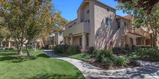 The Terrace Apartments Gallery 6
