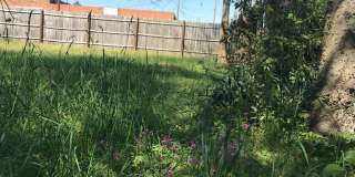 1001 South 8th St, Lillington, NC  27546 Gallery 78