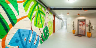 Nexus Brandon Gallery 65