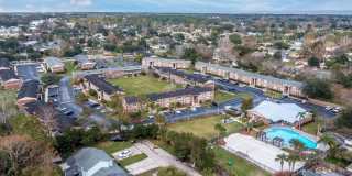 Sea Oats Sea Oats Gallery 2
