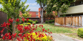 Coronado Apartments Gallery 11