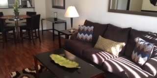 Meridian Upgraded Top Floor 1 Bed | 1 Bath Unit (Vinyl Flooring in Bedroom Area) Gallery 1