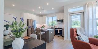 J Centra Burlington Gallery 22