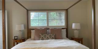 1202 Palm Trail Gallery 17