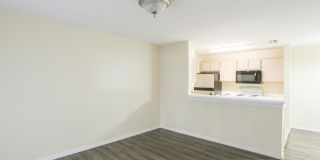 5451 Vineland Road Unit #2111 Gallery 9
