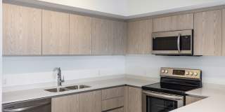 Flamingo South Beach Gallery 9