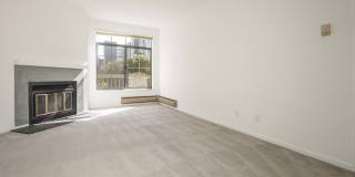 LP1 Research - #187 LP1 Research - #187 Gallery 11