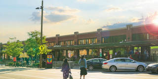 Ltd. Findlay Gallery 33