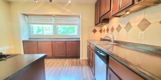 4517 Mayfield Drive Gallery 11