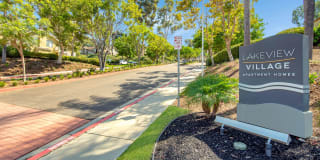 Lakeview Village Gallery 21