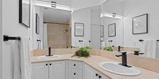 687 Hibiscus Street Gallery 24