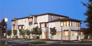 16339 Sandpiper Gallery 16