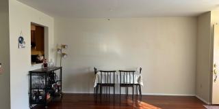 181 WYNDHAM Place Gallery 7