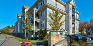 Traders Row Gallery 31