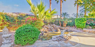 81656 Avenida De Baile Gallery 20