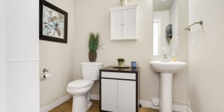 Olympus at The District Gallery 2