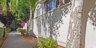 6125 Lambeck Ln Gallery 8