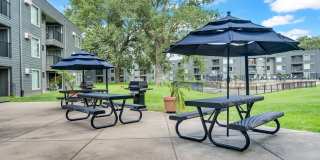 Hillsborough Apartments Gallery 5