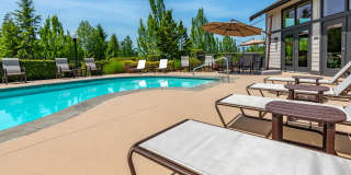 Palermo at Lakeland Gallery 5