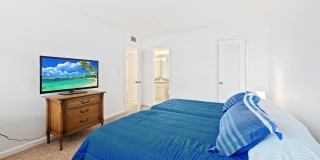 1050 Hillsboro Mile Gallery 23